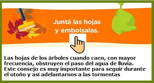 HOJAS 